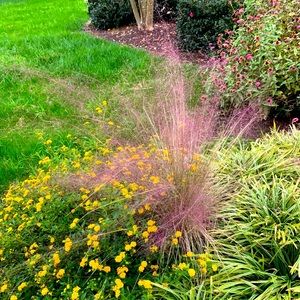 Meet your Posher, AS